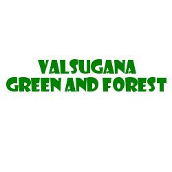 VALSUGANA GREEN AND FOREST S.R.L. SEMPLIFICATA