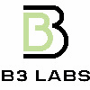 B3 LABS LIMITED