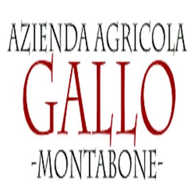 AZIENDA AGRICOLA GALLO SOCIETA' SEMPLICE AGRICOLA