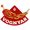 VOGNYAR LLC