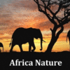AFRICA NATURE