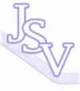 JSV SRL