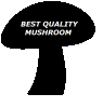BEST QUALITY MUSHROOM