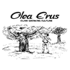OLEA ERUS - OLIVE GROWING CULTURE