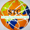 STC CONSULTANTS UK-EU LTD