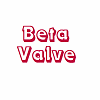 BETA VALVE SYSTEMS LTD
