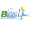 BFB OIL RESEARCH SA