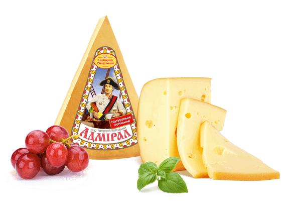 Натуральный твердый сыр