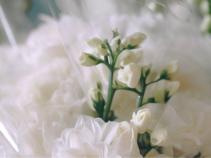 Protégez vos fleurs avec le Film Fleuriste adapté !