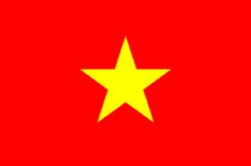 Услуги по переводу с/на вьетнамский язык
