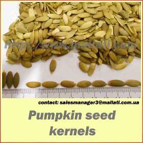 Pumokin seeds kernels