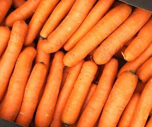 Морковь мытая 