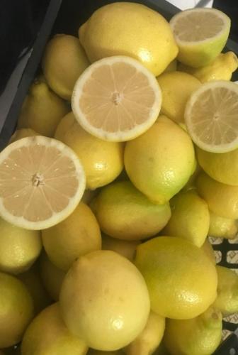 Египетский лимон
