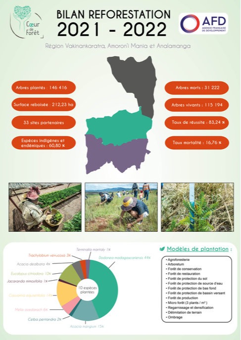 Bilan reforestation (2021-2022) sur le projet Madagascar