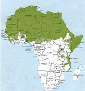 Языковые услуги в сфере африканских языков.